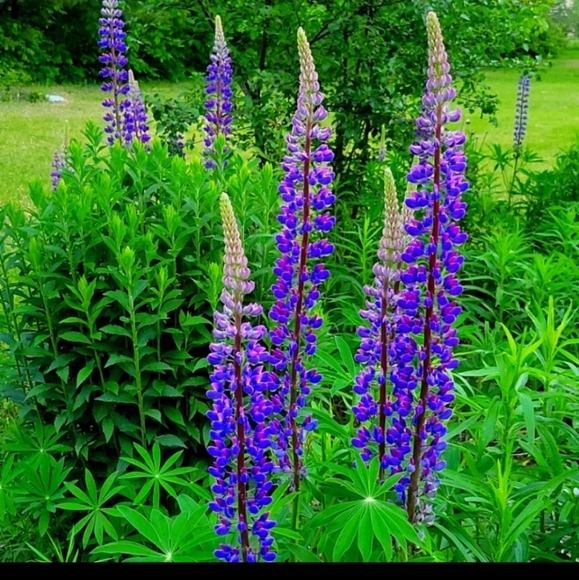 Bookmark me by liking this :) - Picture 6 of 8